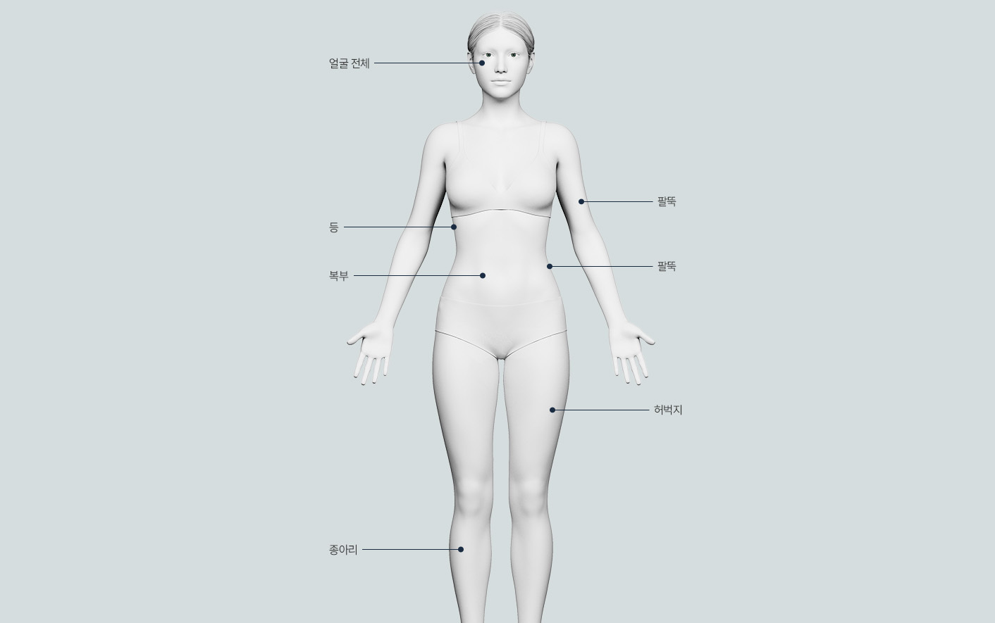지방분해주사 맞춤 리프팅 정면