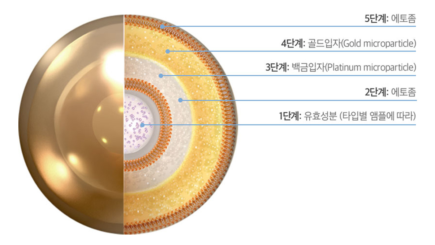 에토좀골드PTT 성분 구조