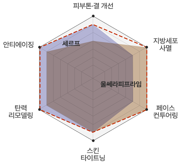 울세르프 차트