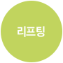 실리프팅